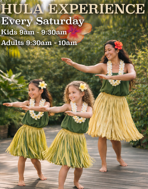 Paia maui hula lessons hula dance Saturday mornings